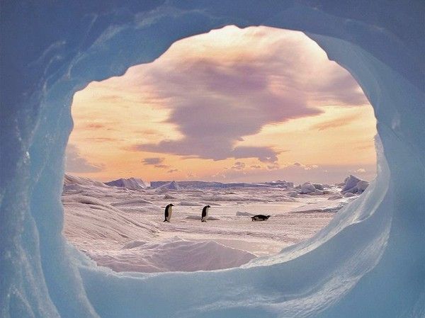 L'antarctique