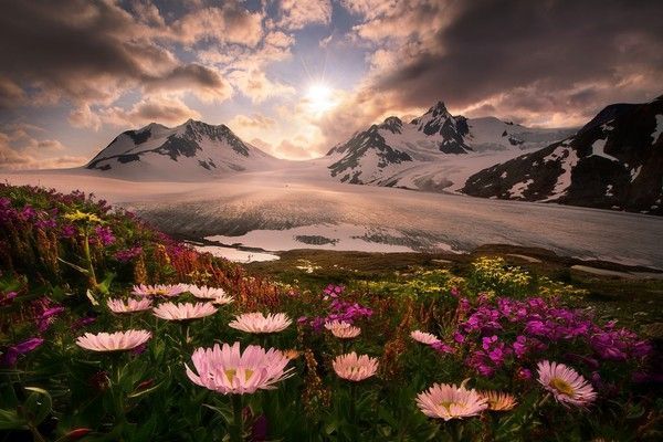 De Marc Adamus