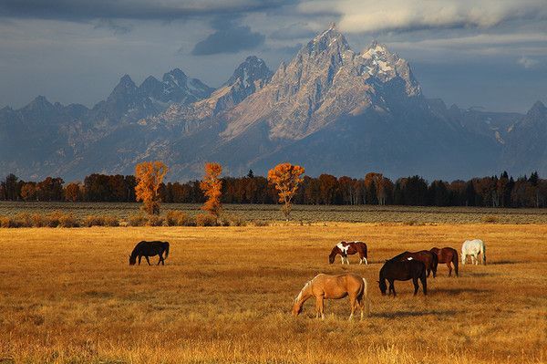 Le Wyoming, Etats-Unis