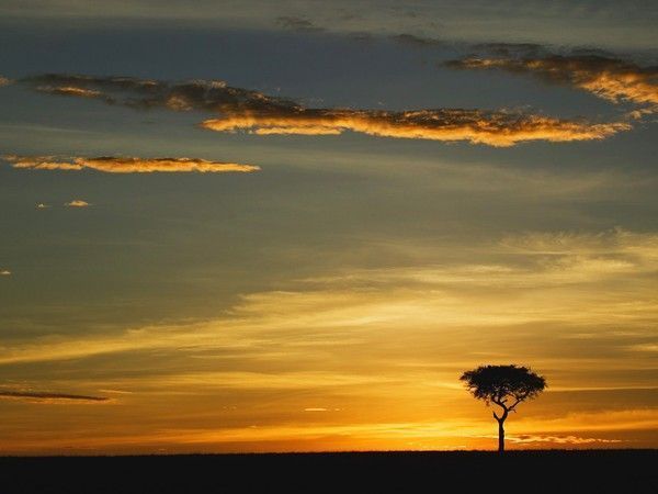 coucher de soleil au Kenya