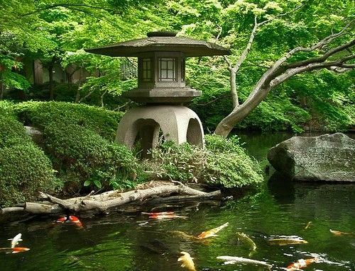 Jardin japonais