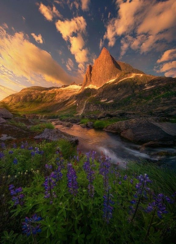 Photographie de Marc Adamus