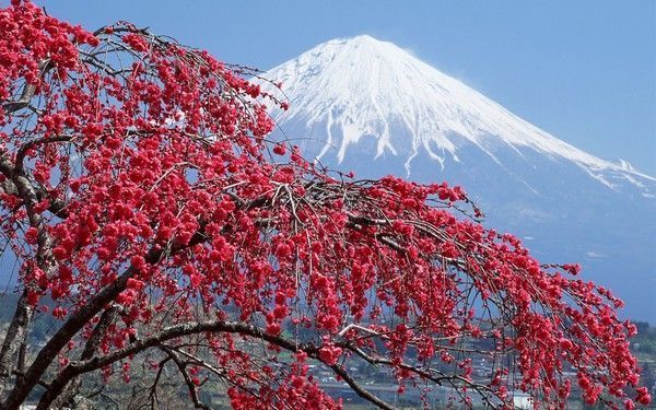 Le mont Fuji