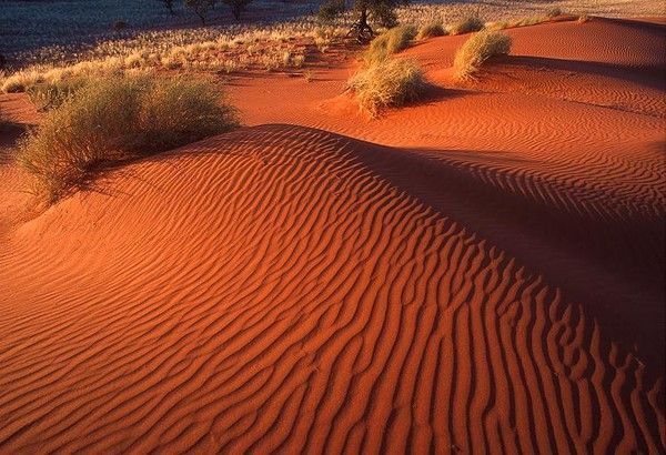 Désert de Namibie