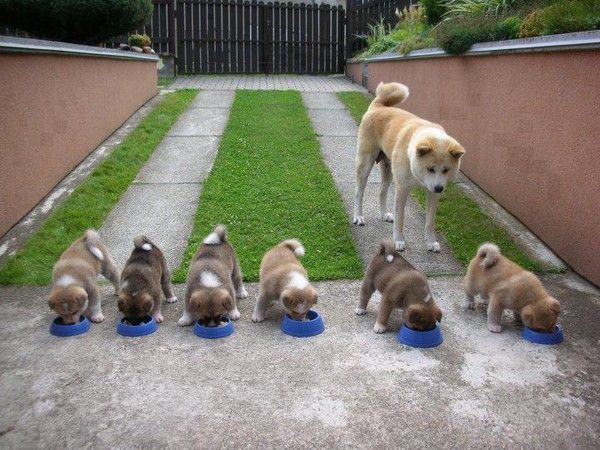 Bon appétit!