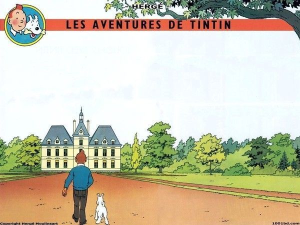 Tintin