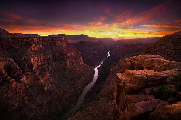 De Marc Adamus