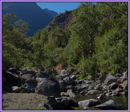 Ile de La Réunion