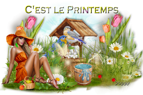 C'est le printemps !