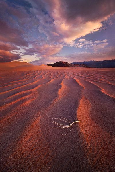 De Marc Adamus