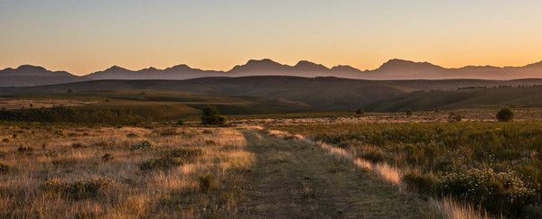 Paysage africain