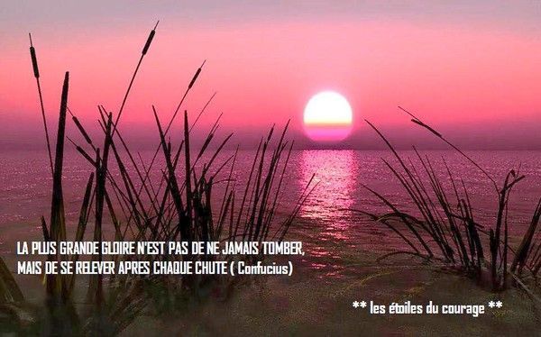 Citation