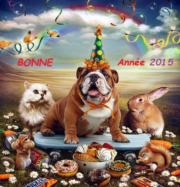 Bonne année 2015!