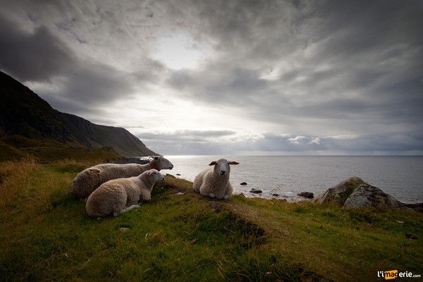 Norvège,Iles Lofoten