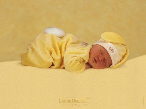 Bébé d'Anne Geddes