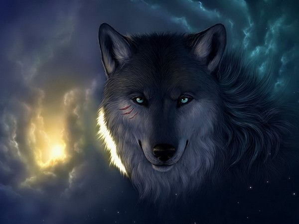 Loup