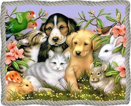 Chiens et chats