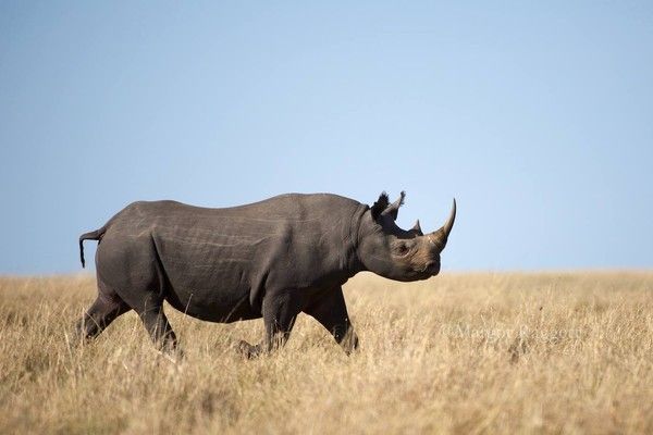 Photographie de Margot Raggett