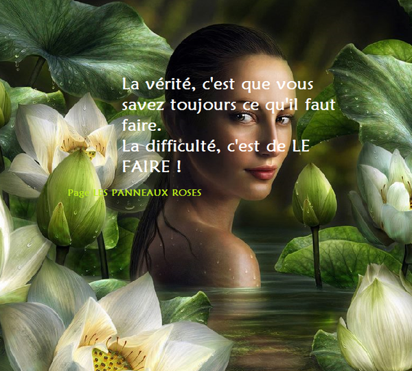 Citation