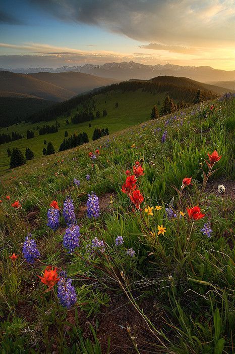 Etats-Unis, Colorado