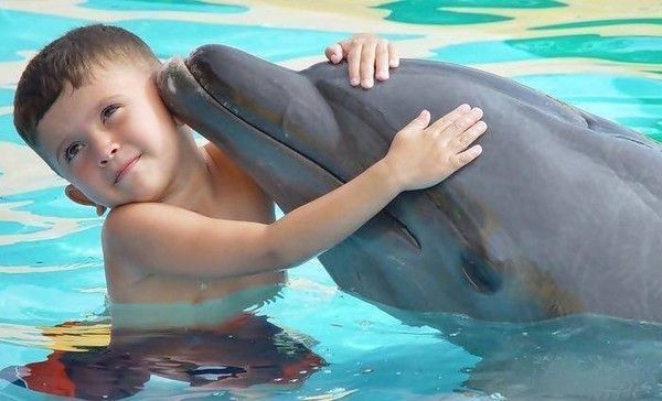 Petit garçon et dauphin