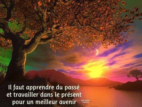 Citation