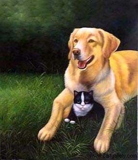 Chien et chat