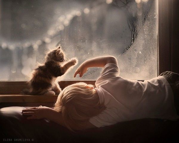 Photo d'Elena Shumilova