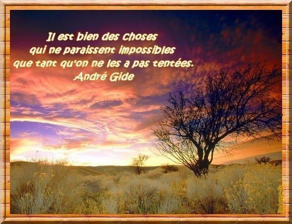 Citation