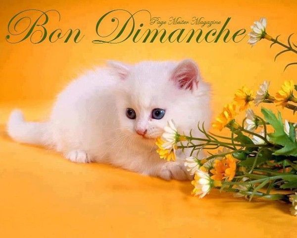 Bon dimanche!