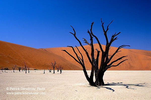 Désert de Namibie