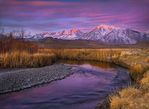 De Marc Adamus