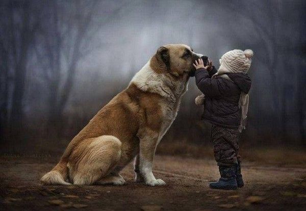 Petit garçon et son chien