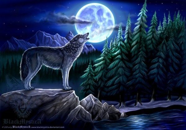 Loup