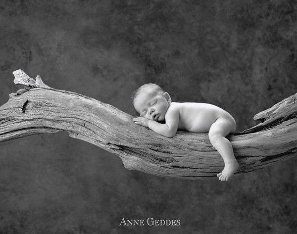 Bébé d'Anne Geddes