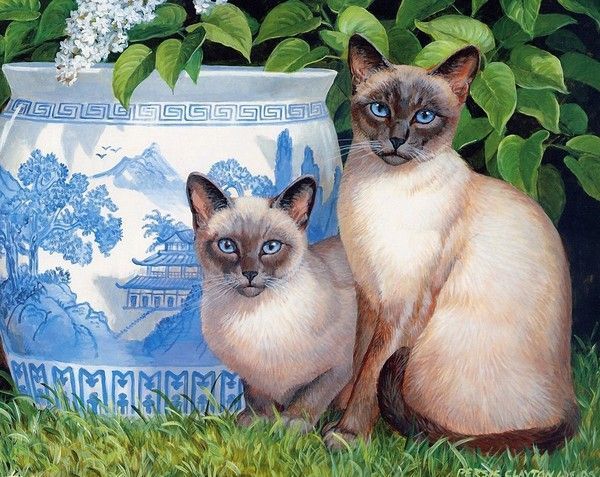 Chats de Persis Clayton Weirs