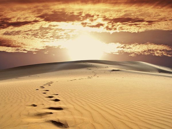 Désert de Jaisalmer, Inde