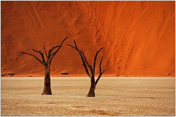 Désert de l'Ennedi