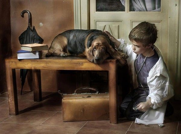 Petit garçon et chien
