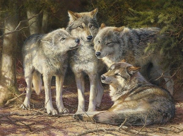 LOUPS