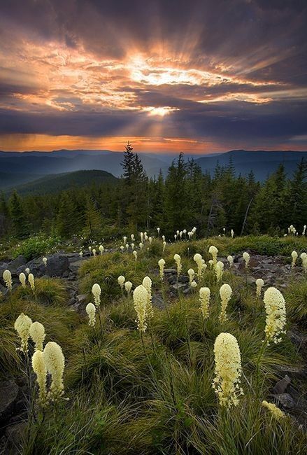 Photographie de Marc Adamus