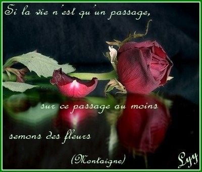 Citation