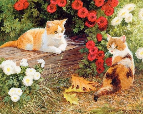 Chats de Persis Clayton Weirs