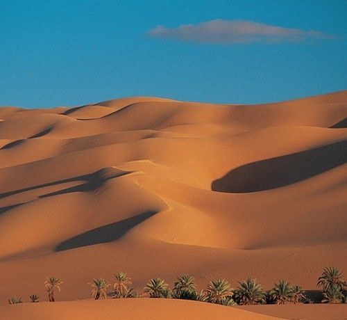 Desert