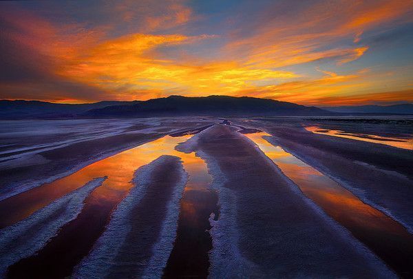 De Marc Adamus