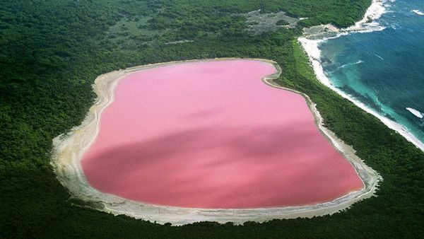 Australie, le Lac Rose