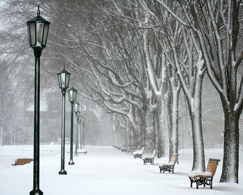 C'est l'hiver!