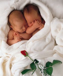 Bébés d'Anne Geddes