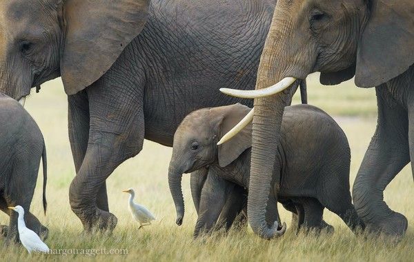 Photographie de Margot Raggett)