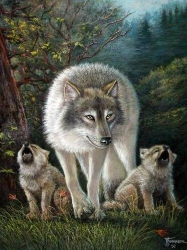 LOUPS